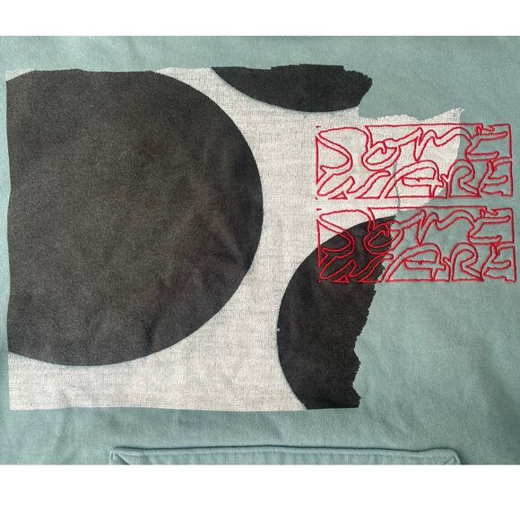 Some Ware Logo Embroidered Hoodie Organic Loopback Cotton Zen Green Size Large - Picture 6 of 13